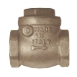 Check valve 1